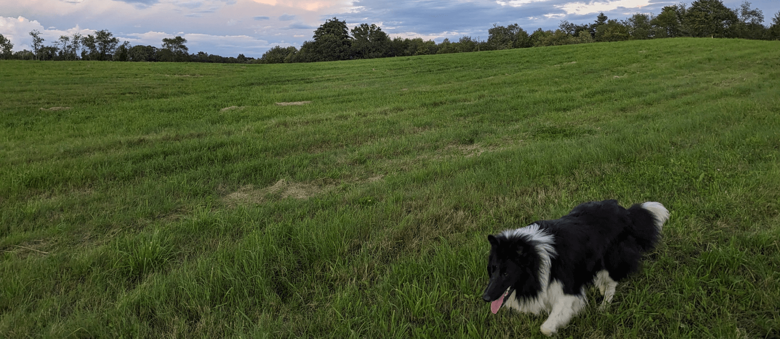 Family-Owned & Operated